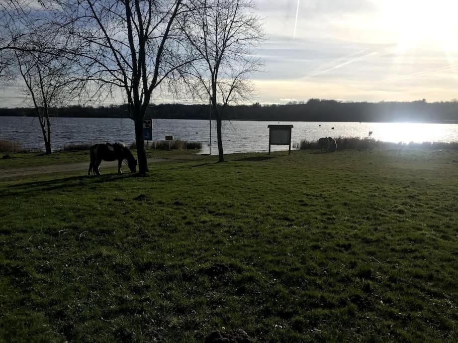 Gite A La Campagne Au Bord D'Un Lac 8 Personnes Saint-Quentin-sur-Charente Εξωτερικό φωτογραφία