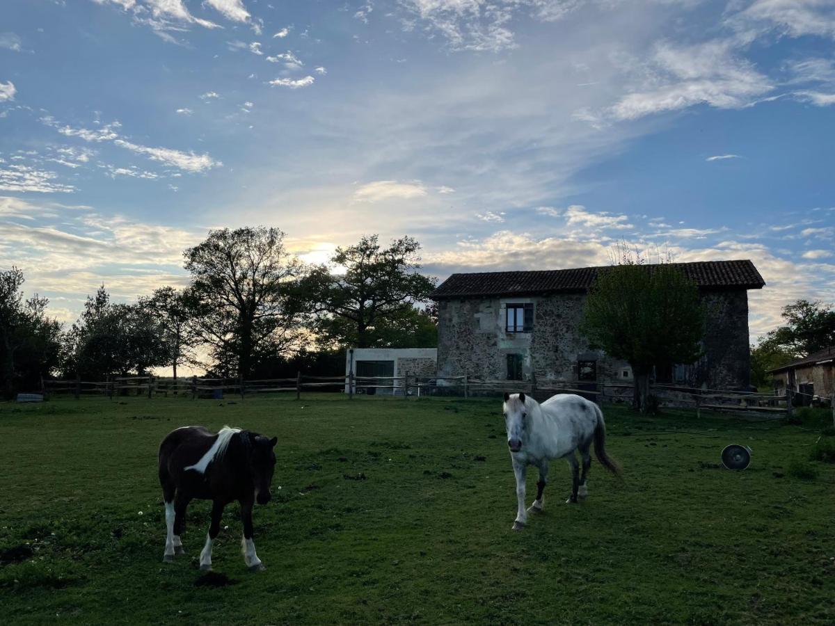 Gite A La Campagne Au Bord D'Un Lac 8 Personnes Saint-Quentin-sur-Charente Εξωτερικό φωτογραφία